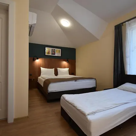 Πανσιόν Simada Center Varshets (Montana)